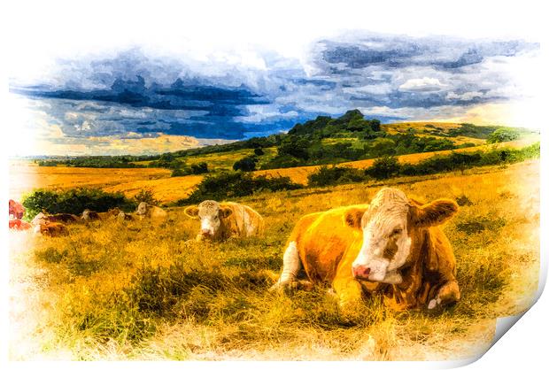 Resting Cows Art Print by David Pyatt