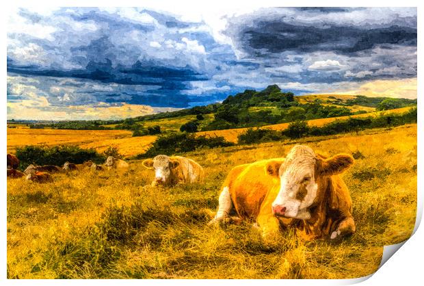 Resting cows Art Print by David Pyatt