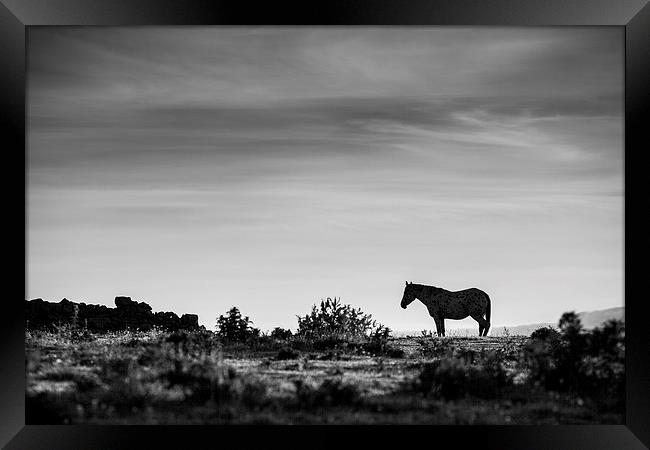  Morning Serenity Framed Print by Paul Nichols