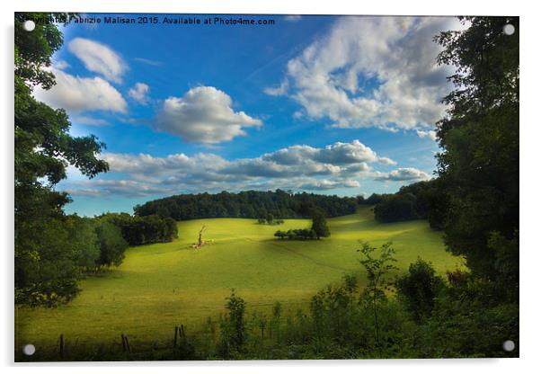 A beautiful landscape of the British countryside Acrylic by Fabrizio Malisan