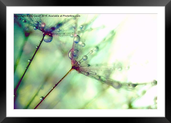   Raining Jewels Framed Mounted Print by Ally Coxon