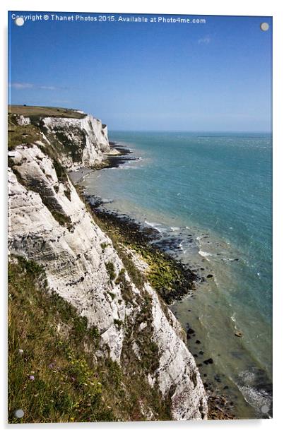  The White cliffs of Dover Acrylic by Thanet Photos