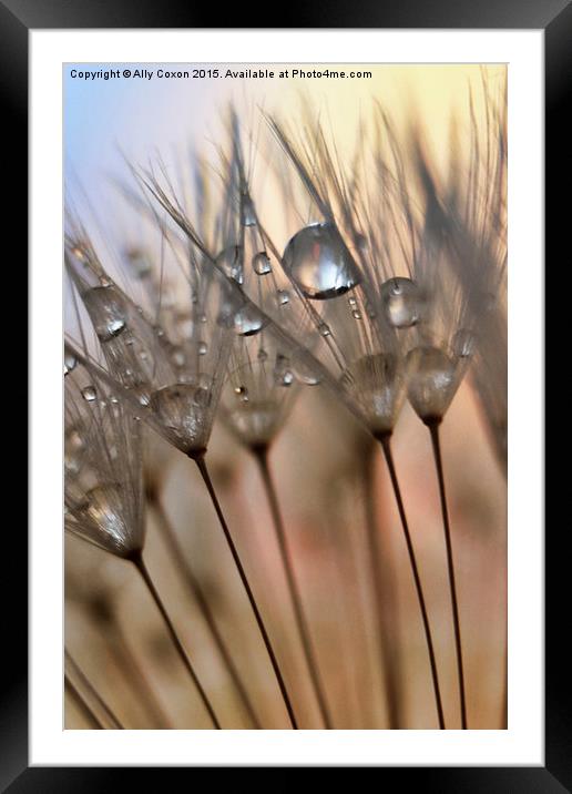 Trinkets Framed Mounted Print by Ally Coxon