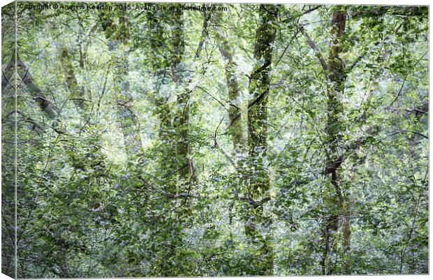  Pattern of greens in the woods Canvas Print by Andrew Kearton