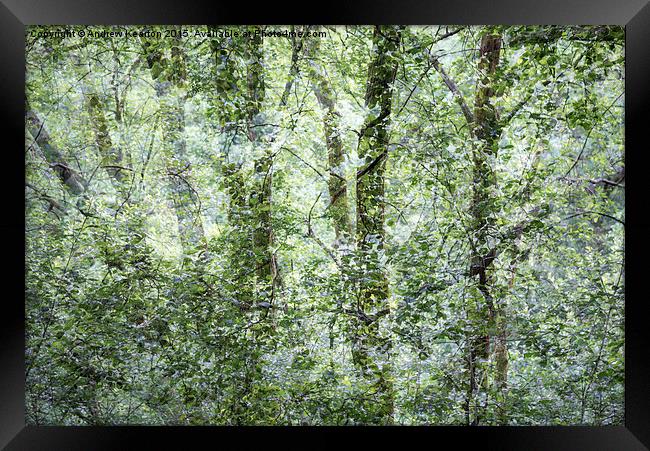  Pattern of greens in the woods Framed Print by Andrew Kearton