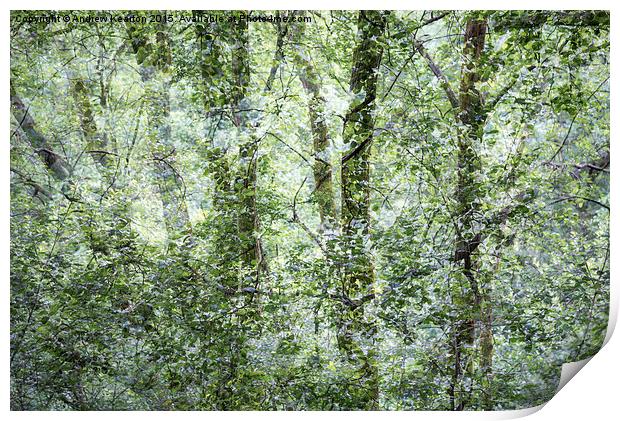  Pattern of greens in the woods Print by Andrew Kearton