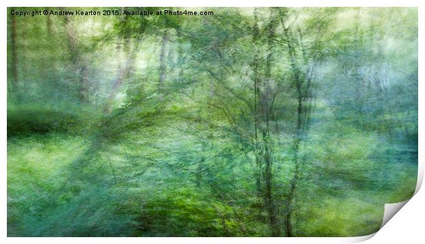  Soft pastel green colours in the woods Print by Andrew Kearton