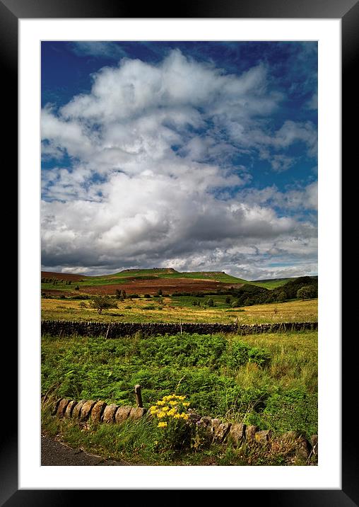 Longshaw Summer View  Framed Mounted Print by Darren Galpin