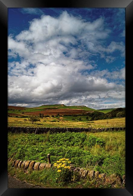 Longshaw Summer View  Framed Print by Darren Galpin
