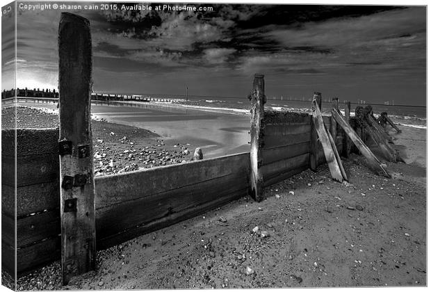  Withernsea Groins Canvas Print by Sharon Cain