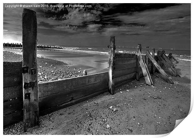  Withernsea Groins Print by Sharon Cain