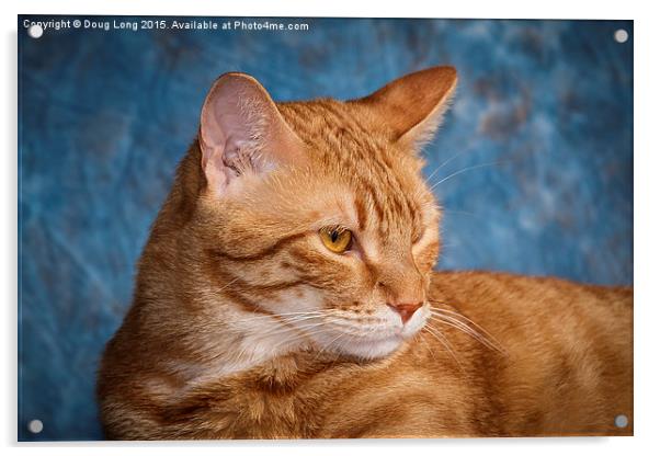 Red Cat Acrylic by Doug Long