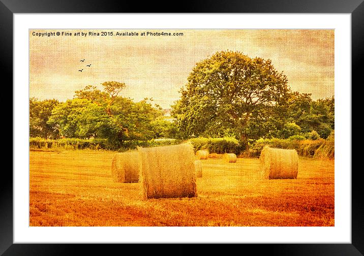  A day in the countryside Framed Mounted Print by Fine art by Rina