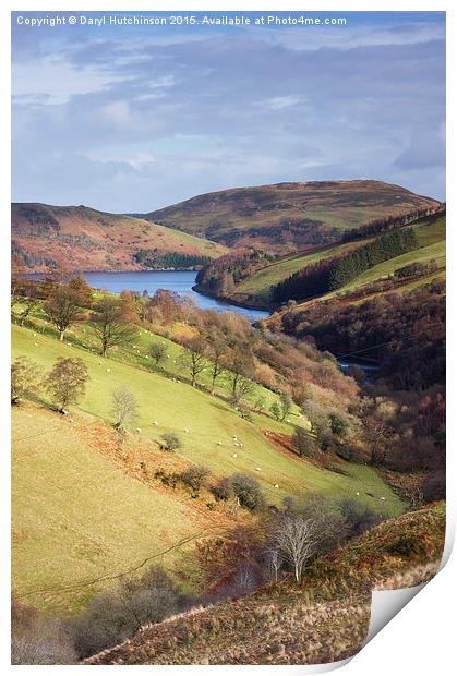 Cambrian Beauty Print by Daryl Peter Hutchinson