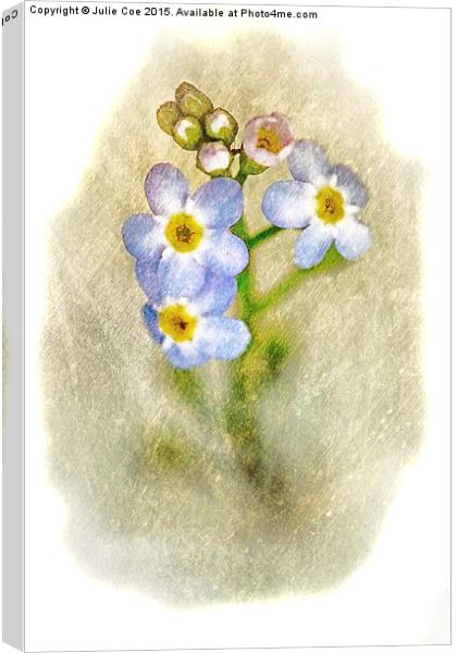 Forget Me Not 17 Canvas Print by Julie Coe