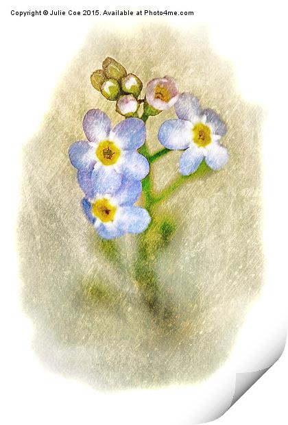 Forget Me Not 17 Print by Julie Coe