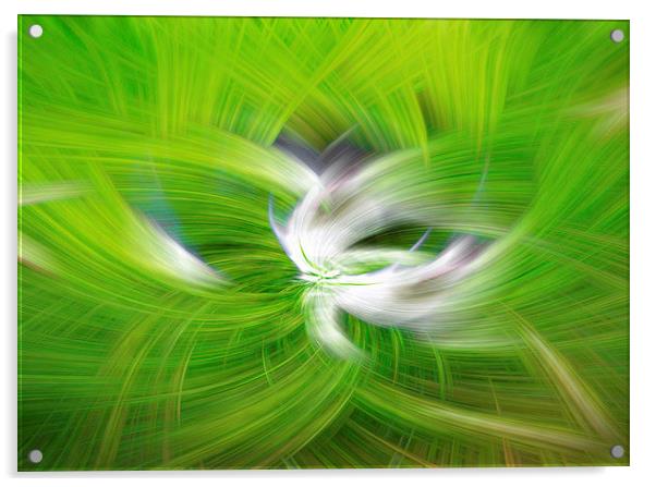  Green sage Acrylic by karen shivas