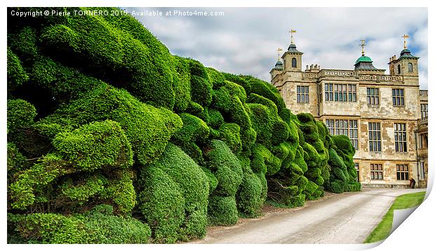 Audley End House Print by Pierre TORNERO