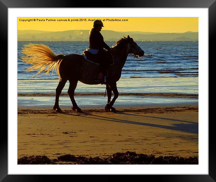 Horse rider on the beach Framed Mounted Print by Paula Palmer canvas