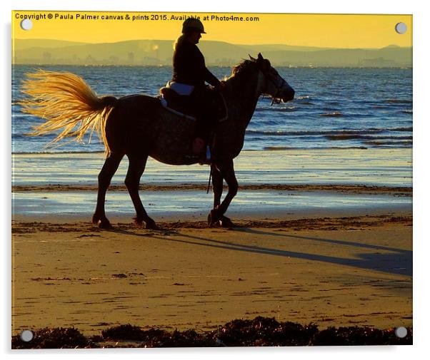 Horse rider on the beach Acrylic by Paula Palmer canvas