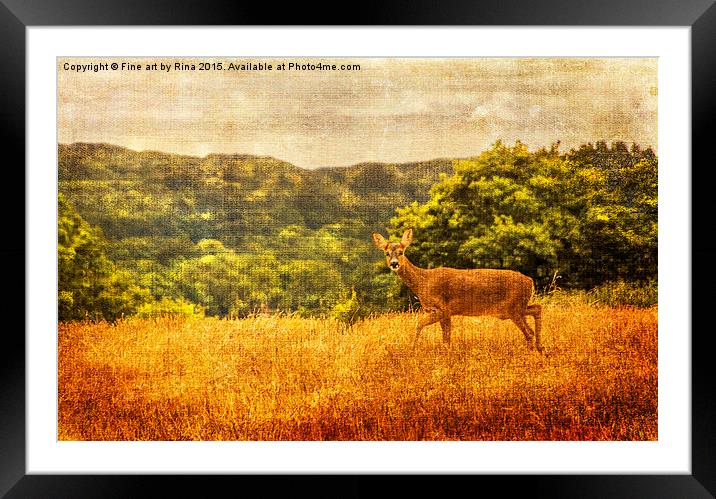  Deer in the wild Framed Mounted Print by Fine art by Rina