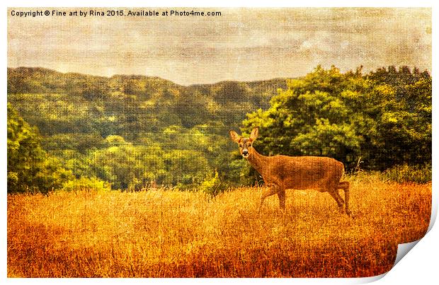 Deer in the wild Print by Fine art by Rina