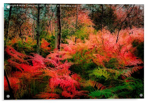  Woodland Ferns  Acrylic by Marie Castagnoli