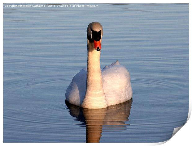  Majestic swan Print by Marie Castagnoli
