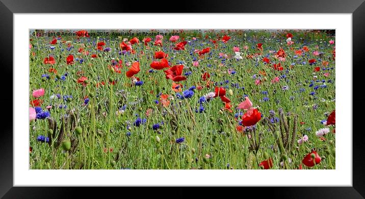 Wildflowers Dancing in Trenthams Meadow Framed Mounted Print by Andrew Heaps
