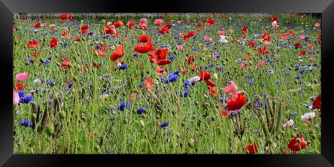 Wildflowers Dancing in Trenthams Meadow Framed Print by Andrew Heaps
