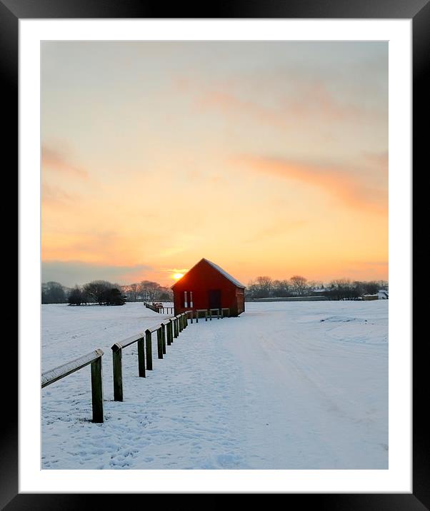 winter dusk Framed Mounted Print by Svetlana Sewell