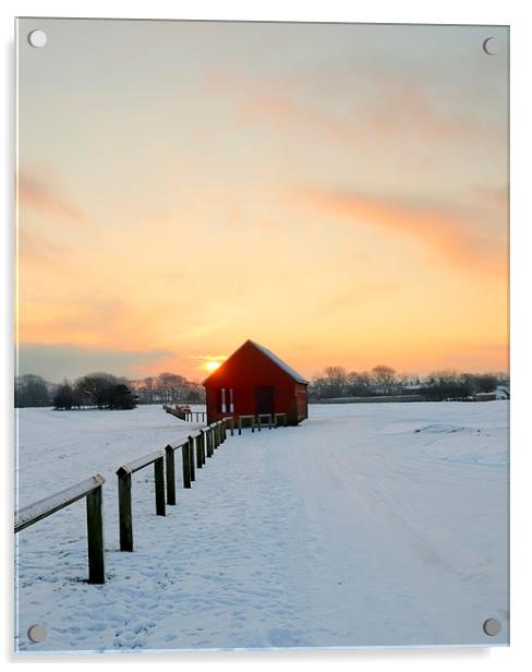 winter dusk Acrylic by Svetlana Sewell