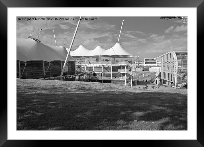  Cricket Ground Southampton Black And White Framed Mounted Print by Terri Waters