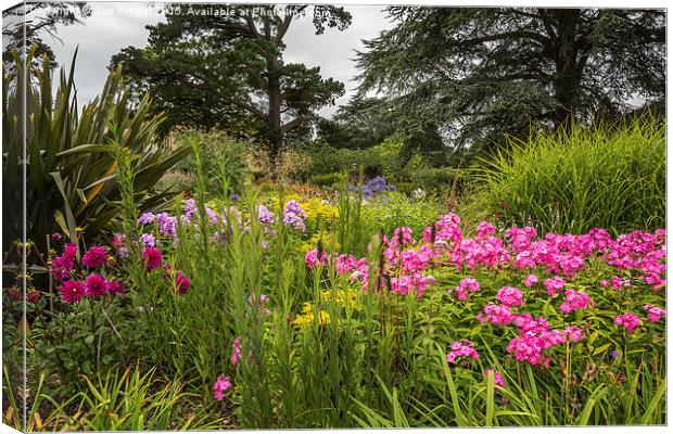  Herbaceous border at Exbury Gardens Canvas Print by Sue Knight
