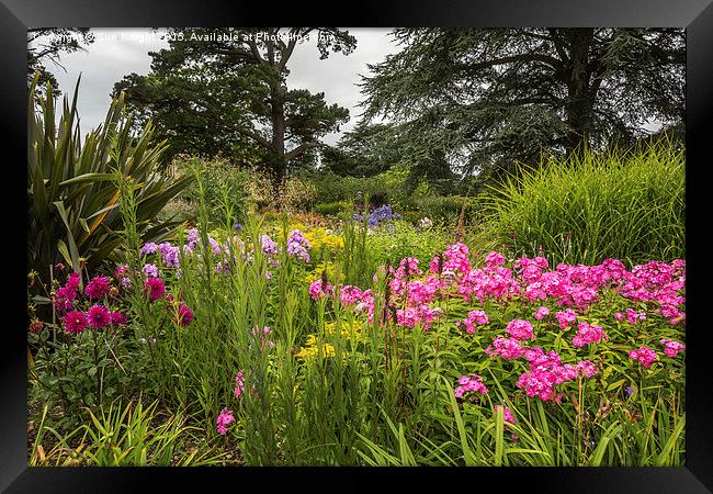  Herbaceous border at Exbury Gardens Framed Print by Sue Knight