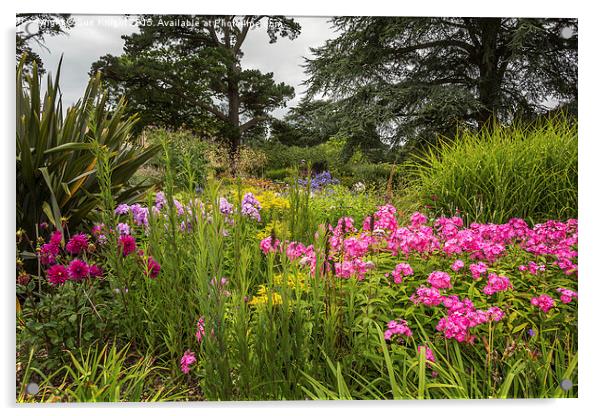  Herbaceous border at Exbury Gardens Acrylic by Sue Knight