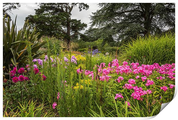  Herbaceous border at Exbury Gardens Print by Sue Knight