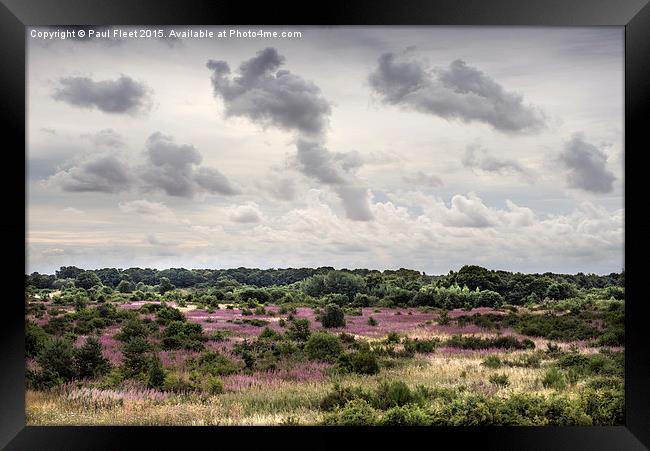 Wild Countryside Framed Print by Paul Fleet