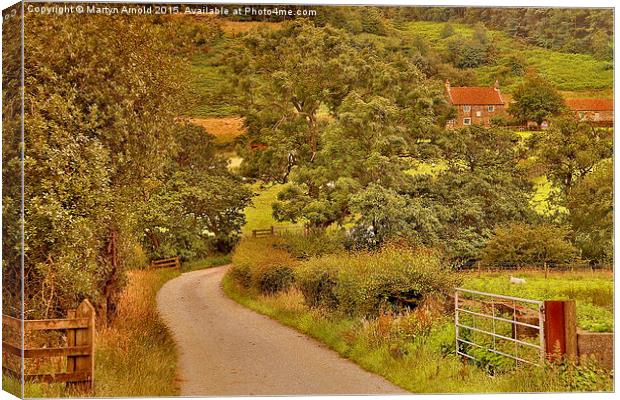  North Yorkshire Country Scene Canvas Print by Martyn Arnold
