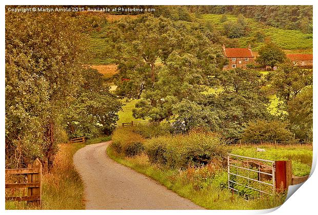  North Yorkshire Country Scene Print by Martyn Arnold