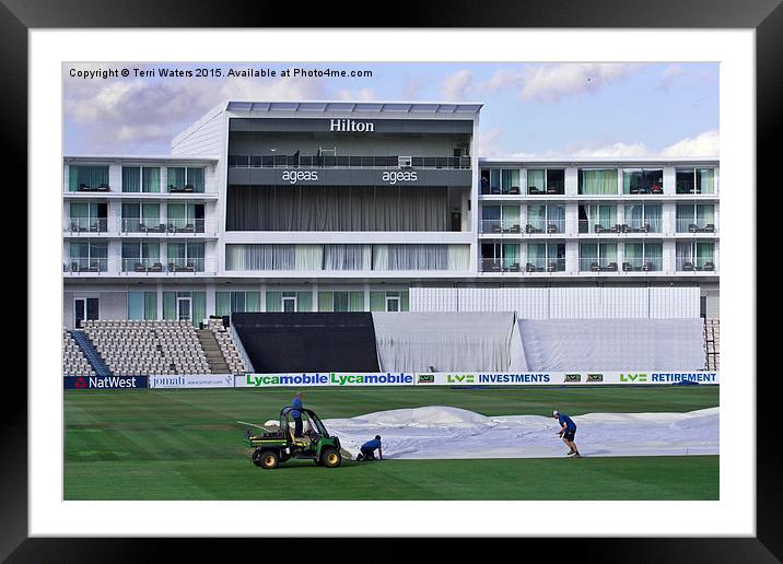   Hilton Ageas Cricket Framed Mounted Print by Terri Waters