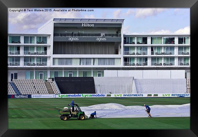  Hilton Ageas Cricket Framed Print by Terri Waters