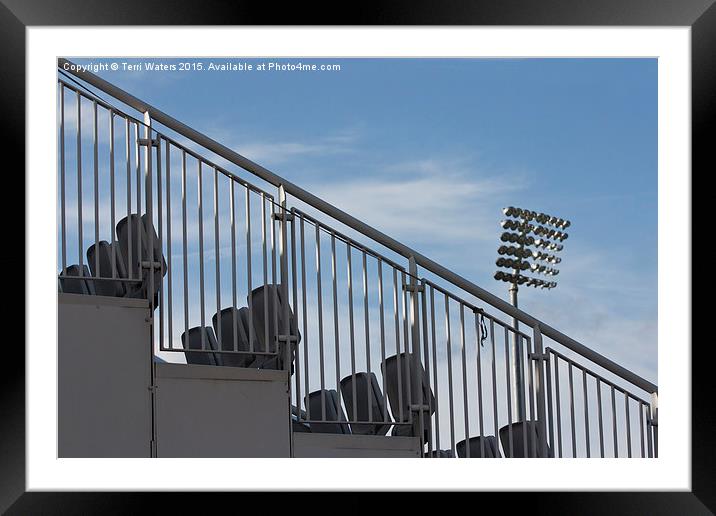 Stadium Seating Framed Mounted Print by Terri Waters