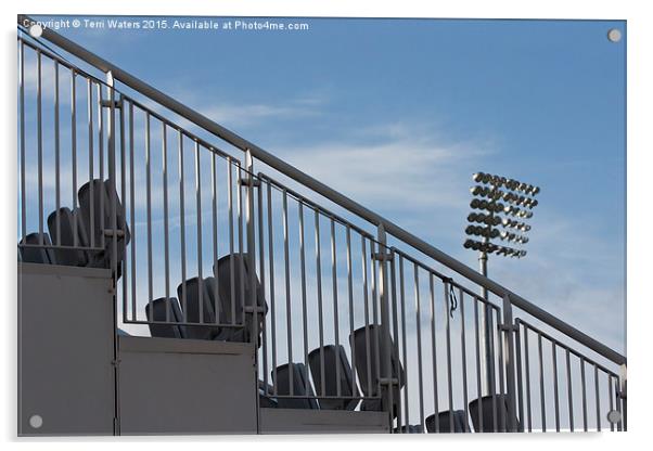  Stadium Seating Acrylic by Terri Waters