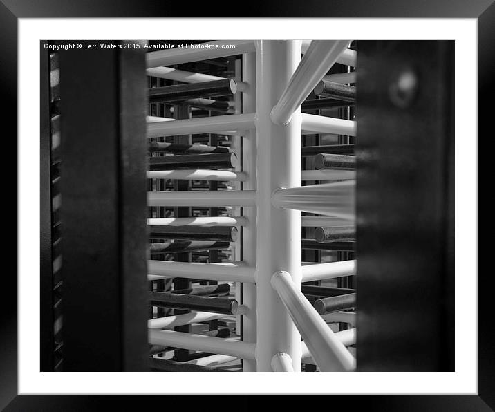  Turnstiles Black And White Framed Mounted Print by Terri Waters