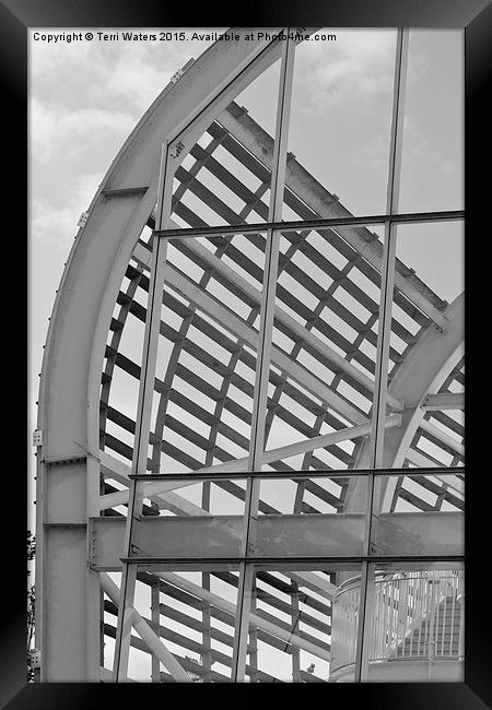 Cricket Stadium Architecture Black And White Framed Print by Terri Waters