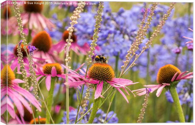 Summer flowers and Bee , Exbury Gardens Canvas Print by Sue Knight