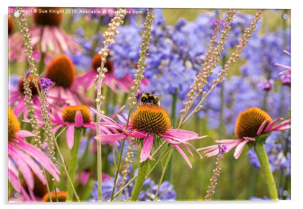 Summer flowers and Bee , Exbury Gardens Acrylic by Sue Knight