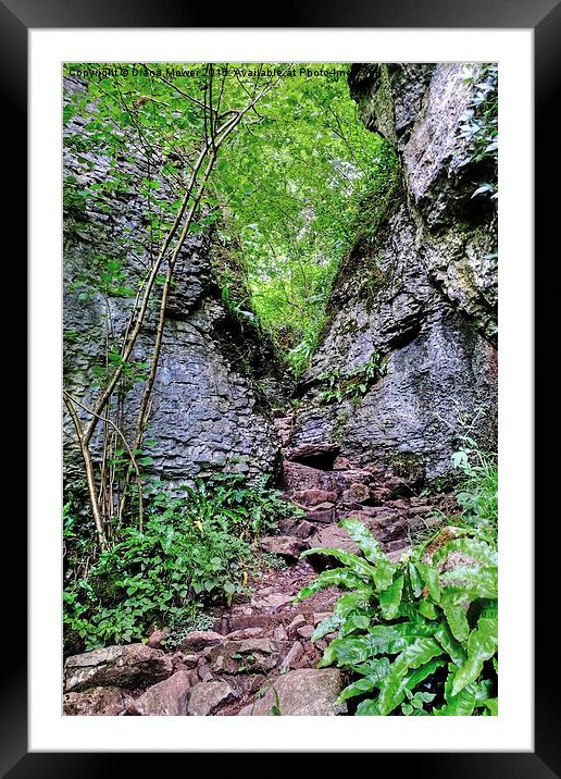  Ebbor Gorge Framed Mounted Print by Diana Mower