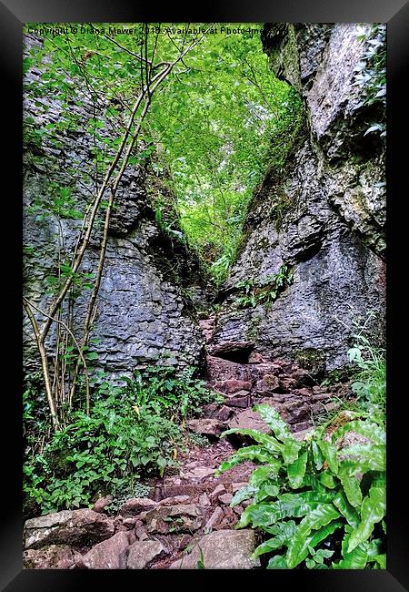  Ebbor Gorge Framed Print by Diana Mower